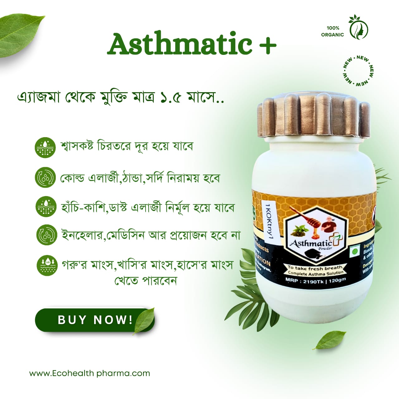 WhatsApp Image 2024-12-16 at 19.51.54_0158ed05